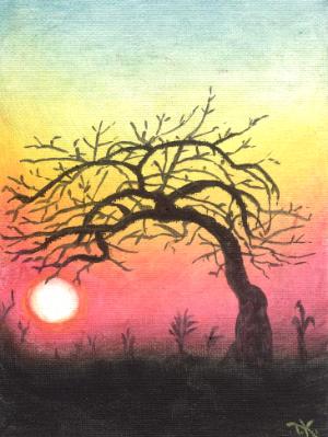 Tree at Sunrise